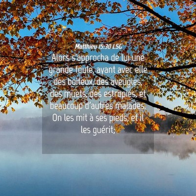 Picture 04 - Matthieu 15:30 LSG - Alors s'approcha de lui une grande foule, ayant - Bible Verse Picture