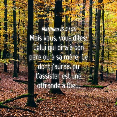 Picture 04 - Matthieu 15:5 LSG - Mais vous, vous dites: Celui qui dira à son - Bible Verse Picture
