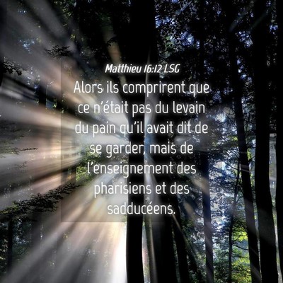 Picture 04 - Matthieu 16:12 LSG - Alors ils comprirent que ce n'était pas du - Bible Verse Picture