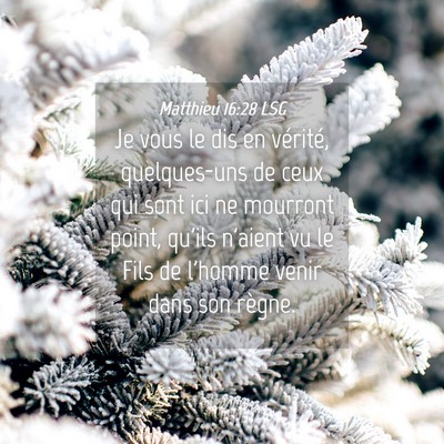 Picture 04 - Matthieu 16:28 LSG - Je vous le dis en vérité, quelques-uns de ceux - Bible Verse Picture