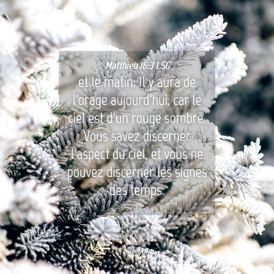 Picture 04 - Matthieu 16:3 LSG - et le matin: Il y aura de l'orage aujourd'hui, - Bible Verse Picture