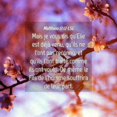 Picture 04 - Matthieu 17:12 LSG - Mais je vous dis qu'Elie est déjà venu, qu'ils - Bible Verse Picture