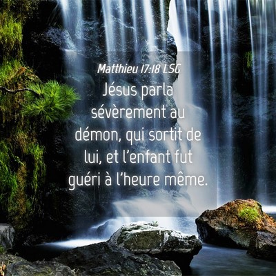 Picture 04 - Matthieu 17:18 LSG - Jésus parla sévèrement au démon, qui sortit - Bible Verse Picture
