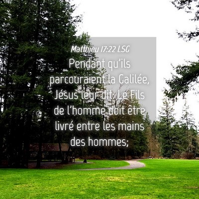 Picture 04 - Matthieu 17:22 LSG - Pendant qu'ils parcouraient la Galilée, Jésus - Bible Verse Picture