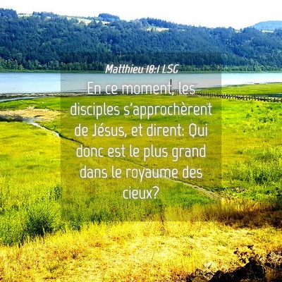 Picture 04 - Matthieu 18:1 LSG - En ce moment, les disciples s'approchèrent de - Bible Verse Picture