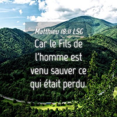 Picture 04 - Matthieu 18:11 LSG - Car le Fils de l'homme est venu sauver ce qui - Bible Verse Picture