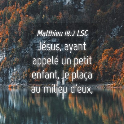 Picture 04 - Matthieu 18:2 LSG - Jésus, ayant appelé un petit enfant, le plaça - Bible Verse Picture