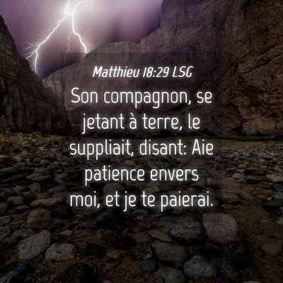 Picture 04 - Matthieu 18:29 LSG - Son compagnon, se jetant à terre, le suppliait, - Bible Verse Picture