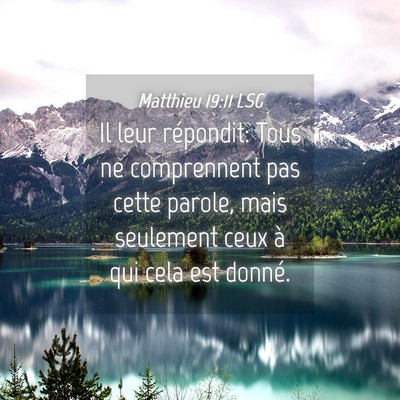 Picture 04 - Matthieu 19:11 LSG - Il leur répondit: Tous ne comprennent pas cette - Bible Verse Picture