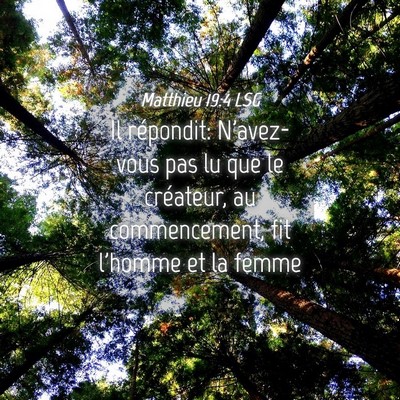 Picture 04 - Matthieu 19:4 LSG - Il répondit: N'avez-vous pas lu que le - Bible Verse Picture