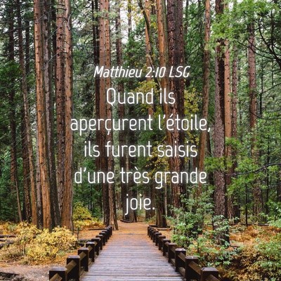 Picture 04 - Matthieu 2:10 LSG - Quand ils aperçurent l'étoile, ils furent - Bible Verse Picture