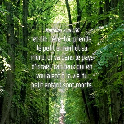 Picture 04 - Matthieu 2:20 LSG - et dit: Lève-toi, prends le petit enfant et sa - Bible Verse Picture