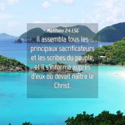 Picture 04 - Matthieu 2:4 LSG - Il assembla tous les principaux sacrificateurs et - Bible Verse Picture