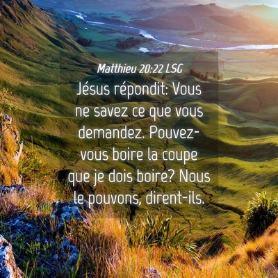 Picture 04 - Matthieu 20:22 LSG - Jésus répondit: Vous ne savez ce que vous - Bible Verse Picture