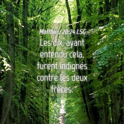 Picture 04 - Matthieu 20:24 LSG - Les dix, ayant entendu cela, furent indignés - Bible Verse Picture
