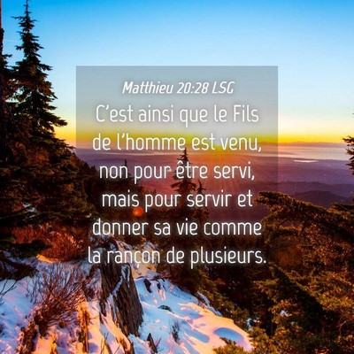 Picture 04 - Matthieu 20:28 LSG - C'est ainsi que le Fils de l'homme est venu, non - Bible Verse Picture