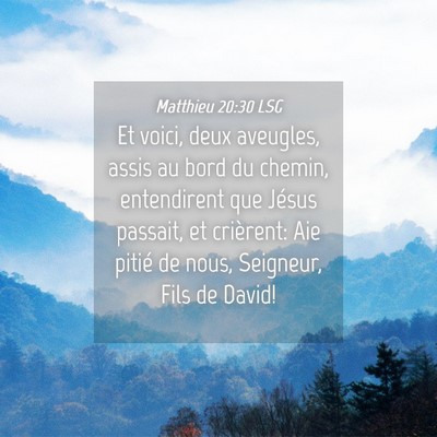 Picture 04 - Matthieu 20:30 LSG - Et voici, deux aveugles, assis au bord du chemin, - Bible Verse Picture