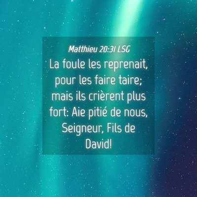 Picture 04 - Matthieu 20:31 LSG - La foule les reprenait, pour les faire taire; - Bible Verse Picture