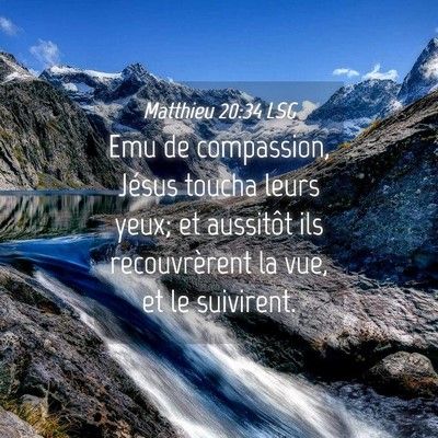 Picture 04 - Matthieu 20:34 LSG - Emu de compassion, Jésus toucha leurs yeux; et - Bible Verse Picture