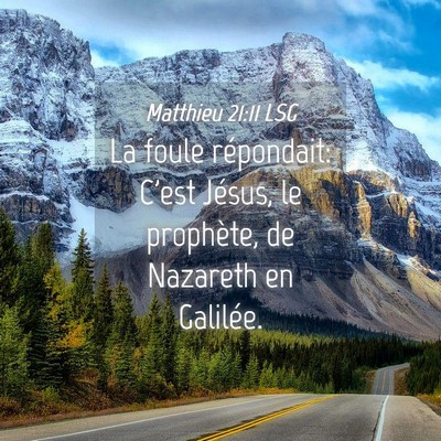 Picture 04 - Matthieu 21:11 LSG - La foule répondait: C'est Jésus, le prophète, - Bible Verse Picture
