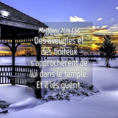 Picture 04 - Matthieu 21:14 LSG - Des aveugles et des boiteux s'approchèrent de - Bible Verse Picture