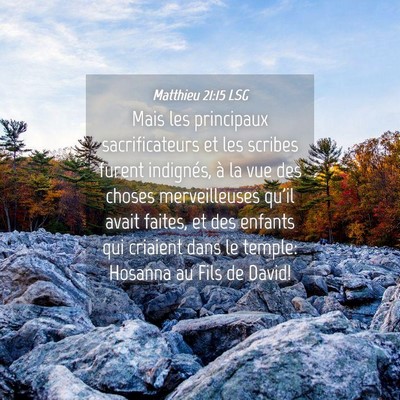 Picture 04 - Matthieu 21:15 LSG - Mais les principaux sacrificateurs et les scribes - Bible Verse Picture