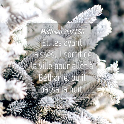 Picture 04 - Matthieu 21:17 LSG - Et, les ayant laissés, il sortit de la ville - Bible Verse Picture