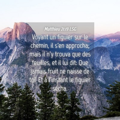 Picture 04 - Matthieu 21:19 LSG - Voyant un figuier sur le chemin, il s'en - Bible Verse Picture