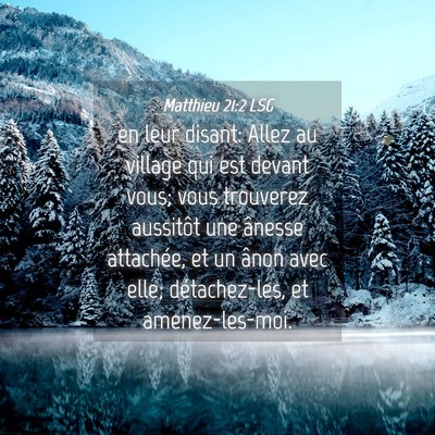 Picture 04 - Matthieu 21:2 LSG - en leur disant: Allez au village qui est devant - Bible Verse Picture