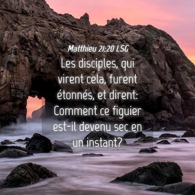 Picture 04 - Matthieu 21:20 LSG - Les disciples, qui virent cela, furent étonnés, - Bible Verse Picture