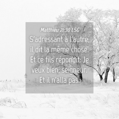 Picture 04 - Matthieu 21:30 LSG - S'adressant à l'autre, il dit la même chose. Et - Bible Verse Picture