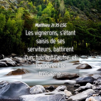 Picture 04 - Matthieu 21:35 LSG - Les vignerons, s'étant saisis de ses serviteurs, - Bible Verse Picture