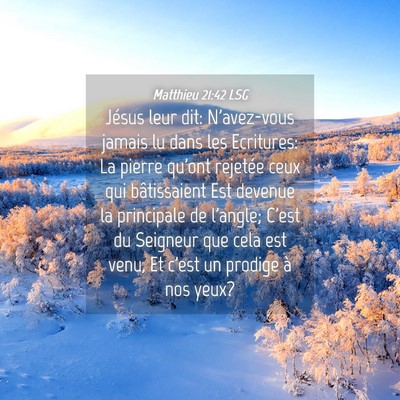 Picture 04 - Matthieu 21:42 LSG - Jésus leur dit: N'avez-vous jamais lu dans les - Bible Verse Picture