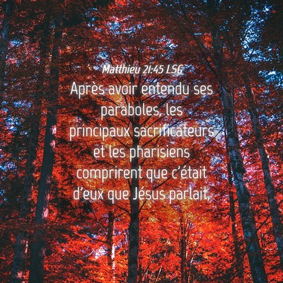 Picture 04 - Matthieu 21:45 LSG - Après avoir entendu ses paraboles, les - Bible Verse Picture