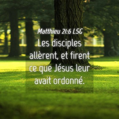 Picture 04 - Matthieu 21:6 LSG - Les disciples allèrent, et firent ce que Jésus - Bible Verse Picture