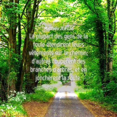 Picture 04 - Matthieu 21:8 LSG - La plupart des gens de la foule étendirent leurs - Bible Verse Picture