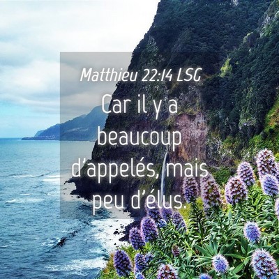 Picture 04 - Matthieu 22:14 LSG - Car il y a beaucoup d'appelés, mais peu - Bible Verse Picture