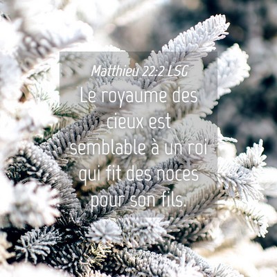 Picture 04 - Matthieu 22:2 LSG - Le royaume des cieux est semblable à un roi qui - Bible Verse Picture