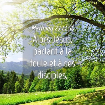 Picture 04 - Matthieu 23:1 LSG - Alors Jésus, parlant à la foule et à ses - Bible Verse Picture