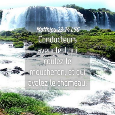 Picture 04 - Matthieu 23:24 LSG - Conducteurs aveugles! qui coulez le moucheron, et - Bible Verse Picture
