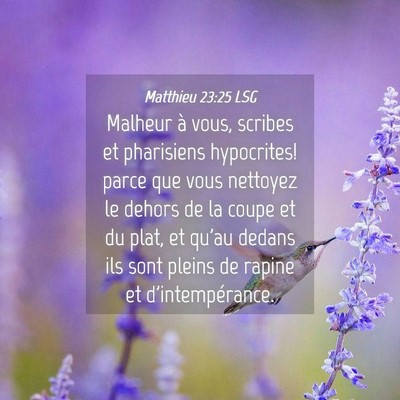 Picture 04 - Matthieu 23:25 LSG - Malheur à vous, scribes et pharisiens - Bible Verse Picture