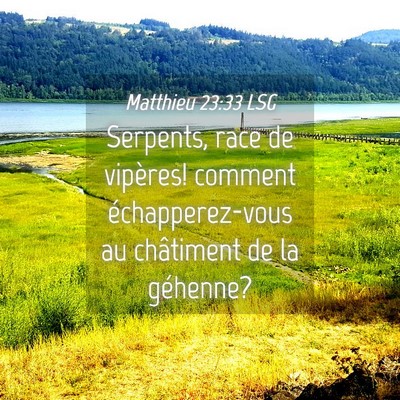 Picture 04 - Matthieu 23:33 LSG - Serpents, race de vipères! comment - Bible Verse Picture