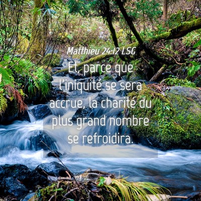 Picture 04 - Matthieu 24:12 LSG - Et, parce que l'iniquité se sera accrue, la - Bible Verse Picture