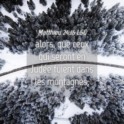 Picture 04 - Matthieu 24:16 LSG - alors, que ceux qui seront en Judée fuient dans - Bible Verse Picture