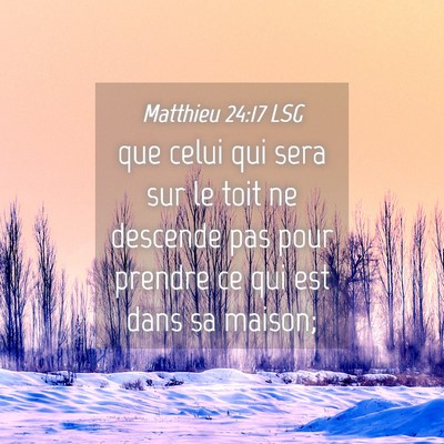 Picture 04 - Matthieu 24:17 LSG - que celui qui sera sur le toit ne descende pas - Bible Verse Picture
