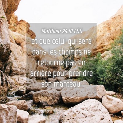 Picture 04 - Matthieu 24:18 LSG - et que celui qui sera dans les champs ne retourne - Bible Verse Picture