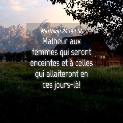 Picture 04 - Matthieu 24:19 LSG - Malheur aux femmes qui seront enceintes et à - Bible Verse Picture