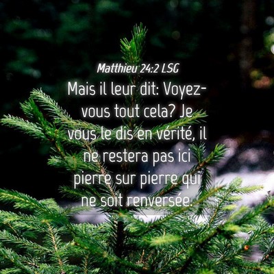 Picture 04 - Matthieu 24:2 LSG - Mais il leur dit: Voyez-vous tout cela? Je vous - Bible Verse Picture