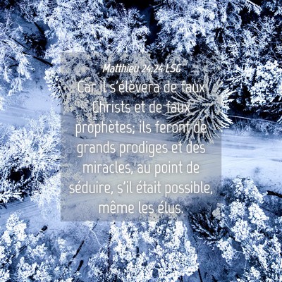 Picture 04 - Matthieu 24:24 LSG - Car il s'élèvera de faux Christs et de faux - Bible Verse Picture