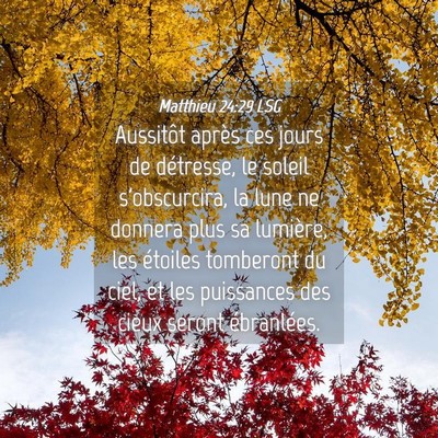 Picture 04 - Matthieu 24:29 LSG - Aussitôt après ces jours de détresse, le - Bible Verse Picture